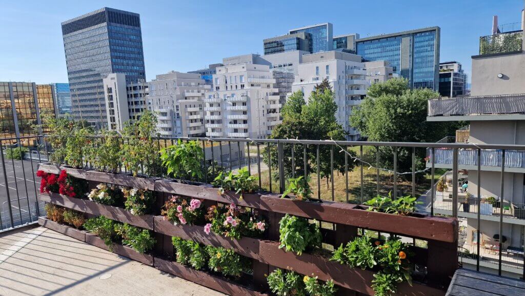 Berufstätigen-WG 2er-WG Zimmer Wohngemeinschaft Frankfurt am Main Niederrad Balkon